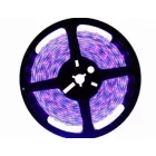 LEDmaster Prémium beltéri UV LED szalag, 4,8W/m, 288lm/m, IP20, 5m / tekercs, Lila