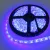 LED szalag 300 4.8W/m kék 12V IP20 /5m/