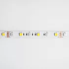 LED szalag 300 14.4W/m RGB+CCT 12V IP63 /5m/