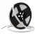24V-os LED szalag Neon COB 480 6000K 7W 310lm/m IP67 5M