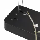 Strühm Flara 24 W-os natúr fehér fekete függesztett lámpa