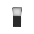 MasterLED Clark 12 W-os natúr fehér fekete fali lámpa