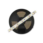 EcoLight Led szalag, 9,6W/m, 6500K, IP20, 5 m / tekercs