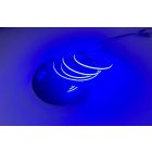 EcoLight COB led szalag kék színben, 9 W/m 480 lm/m,  IP20, 5m / tekercs