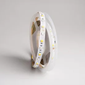 EcoLight RGB + CCT led szalag, 14,4w, IP20, 5 m / tekercs