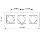 Videx Binera ezüst színű alumínium vízszintes függőleges keret (6/48)