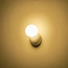 EUROLAMP ARTE ILLUMINA CLIO Falilámpa beépített LED LED G9 MAX 25W 100X120mm Fehér